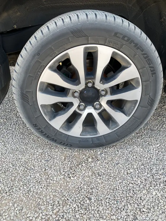 جنوط 20 سكويا 0