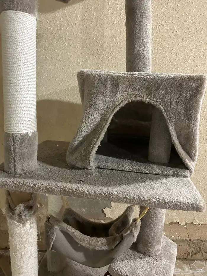 بيت بساس دورين 1