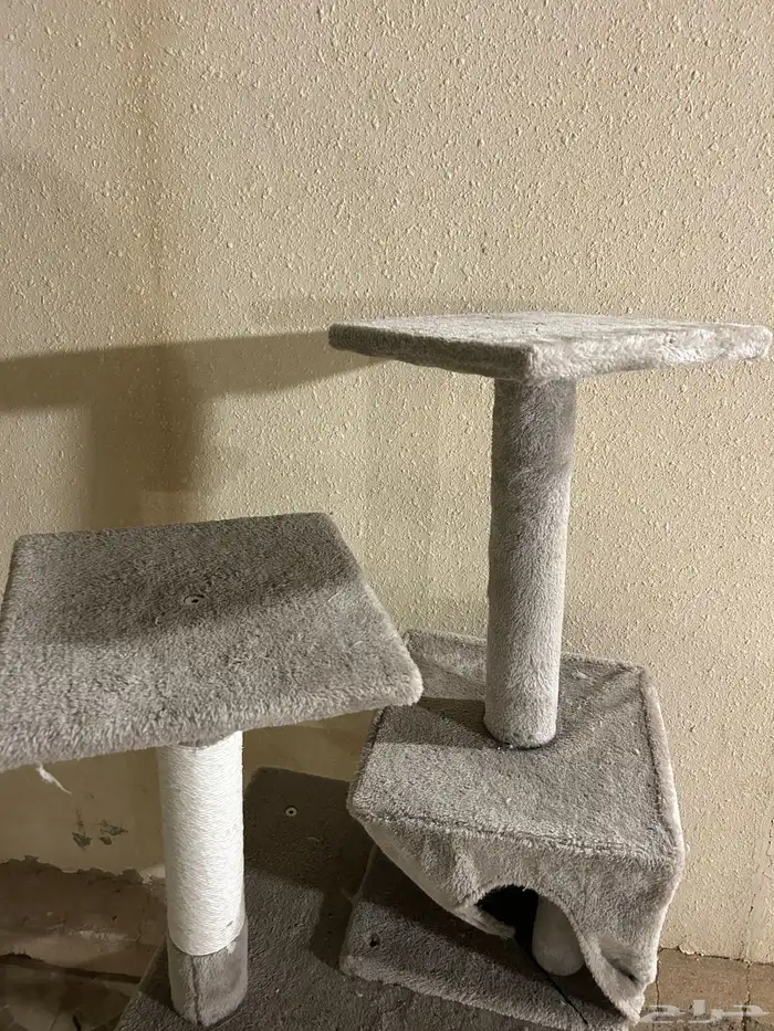 بيت بساس دورين 3