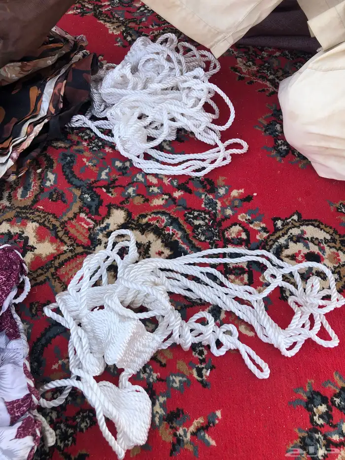 شمايل للابل النياق 2