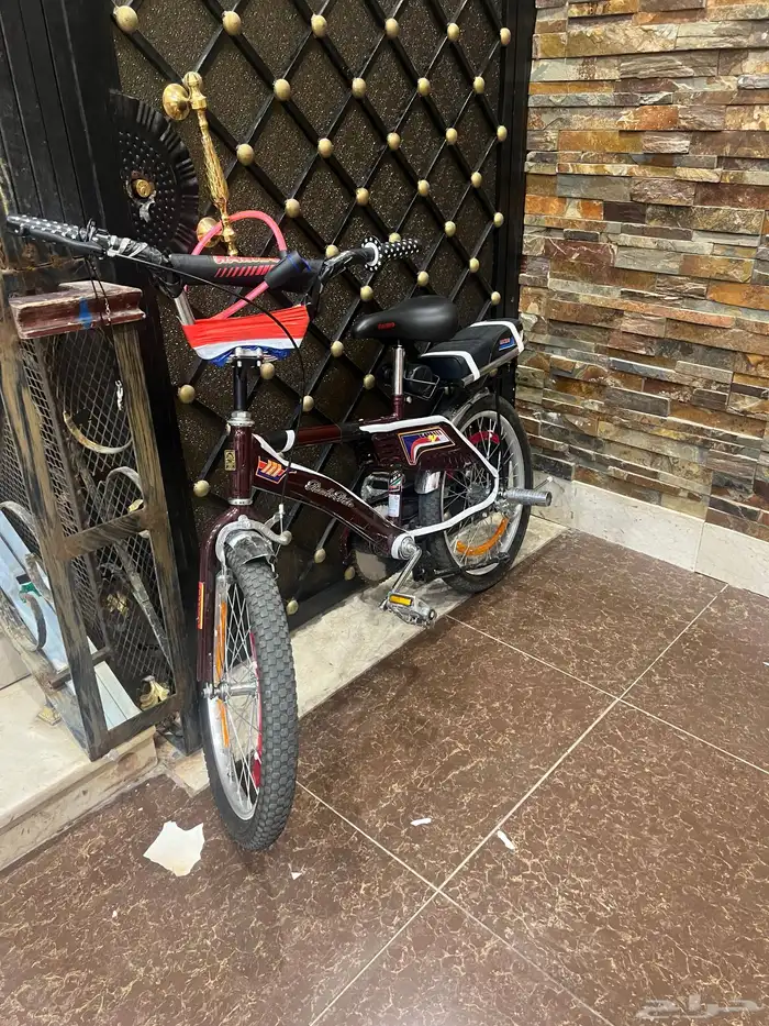 رامبو عنابي 1