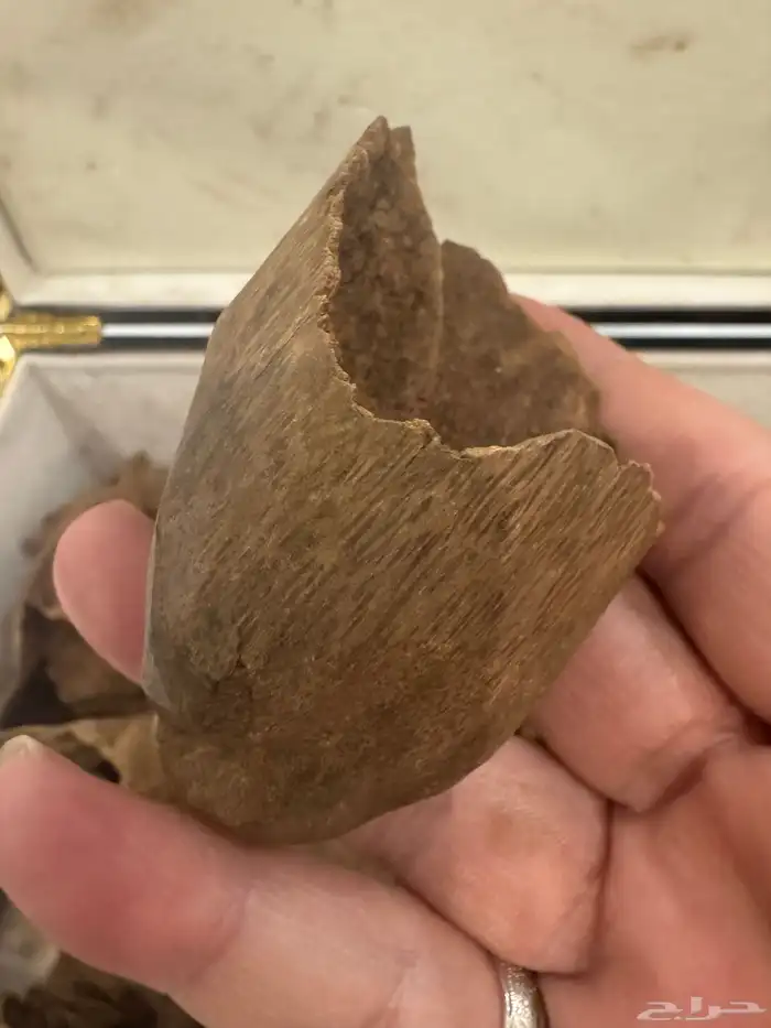 نوادر المروكي ( أندر ووتر ) غطاس   من المقتنيات 1