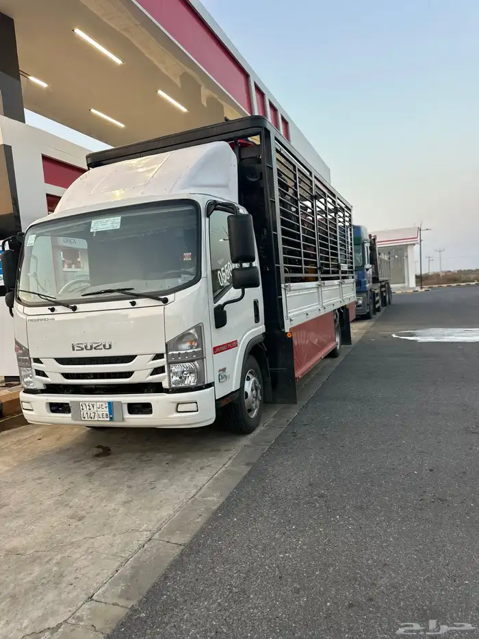 دينا دينه محايل عسير كبير دينه بارق دينه ابها 0