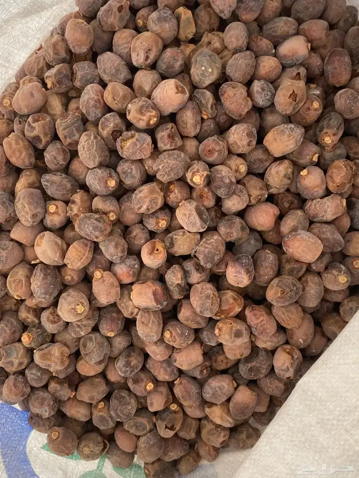 تمر نفيع للغنم 2