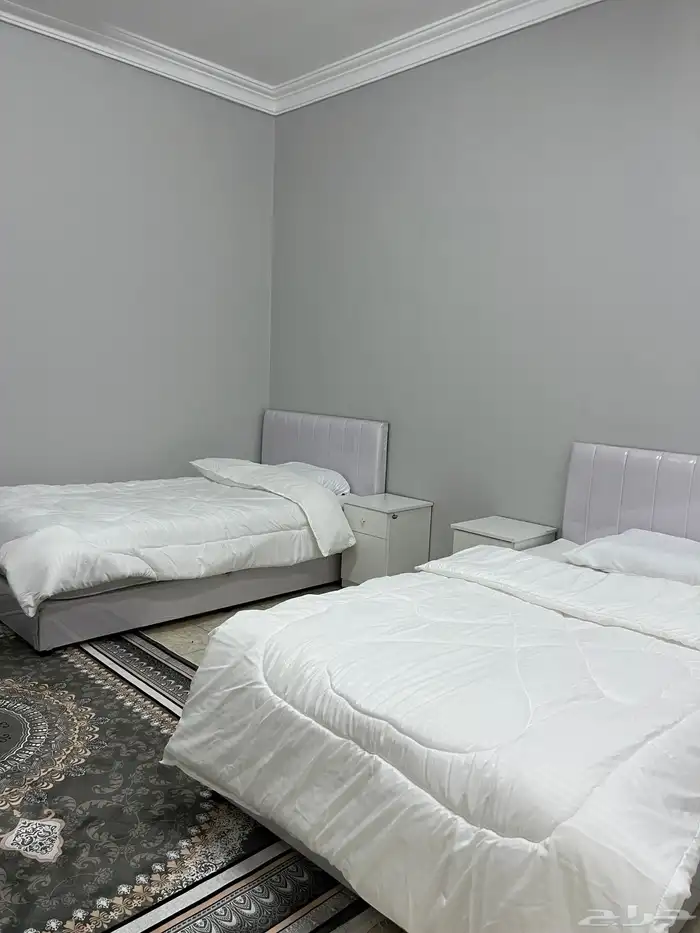 شقه للإيجار بي النعيريه 0