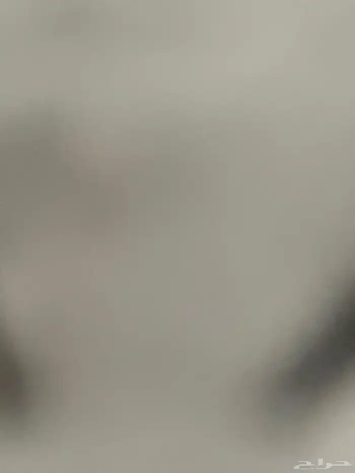 قطه للبيع ( انثى) 0