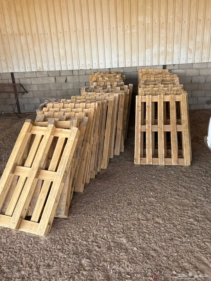 القصيم المذنب 0