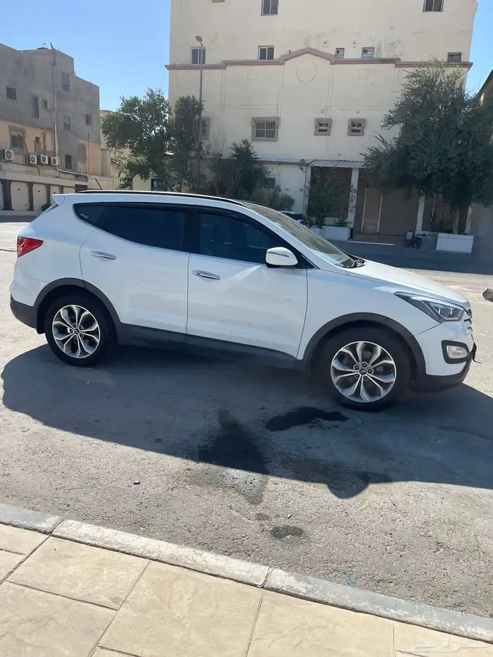 سنتافي فل 2013 (38 الف ) 14