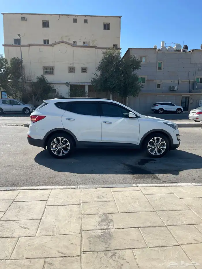 سنتافي فل 2013 (38 الف ) 13