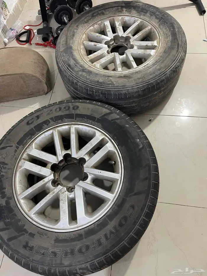 جنوط فورنشر 2013 1