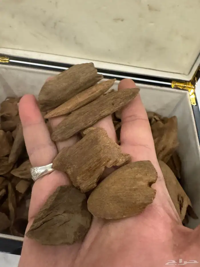 نوادر المروكي ( أندر ووتر ) غطاس   من المقتنيات 14