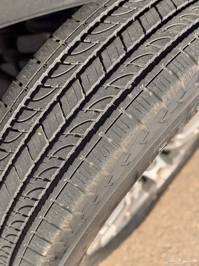 سييرا 2019 ( الفيشن ) 10