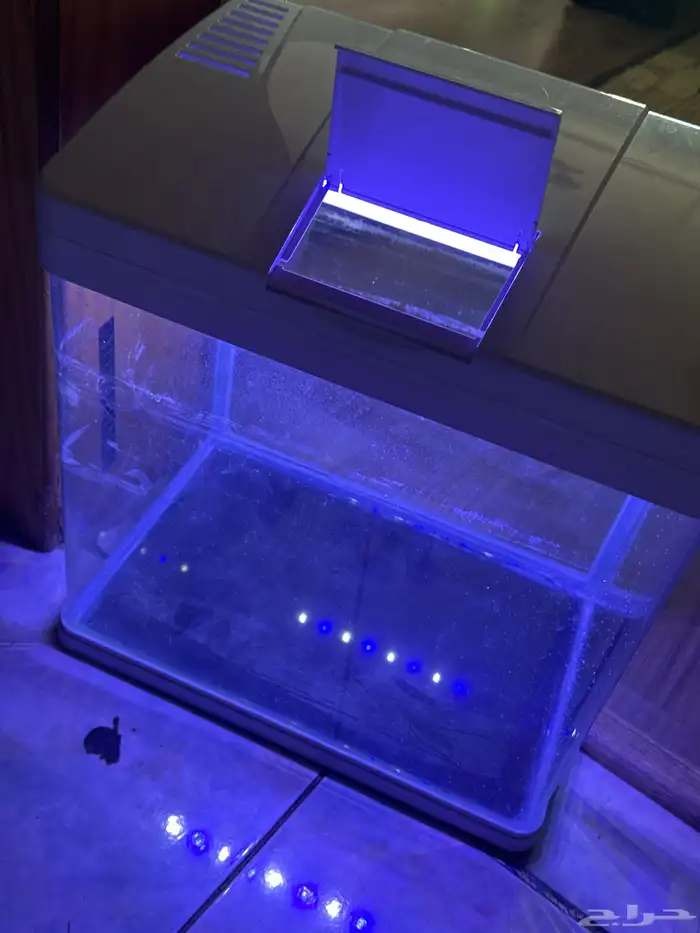 حوض سمك كبير 6