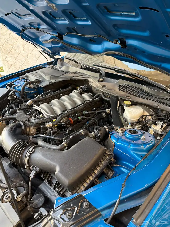 للبيع  موستنق GT 2019 20