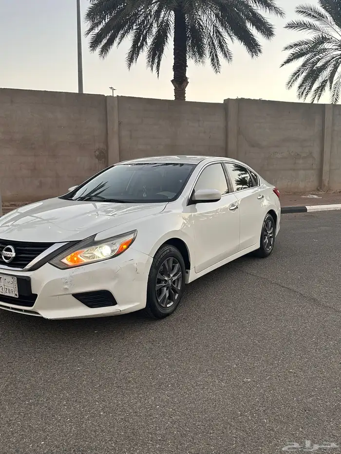 التيما 2017 نص فل 0