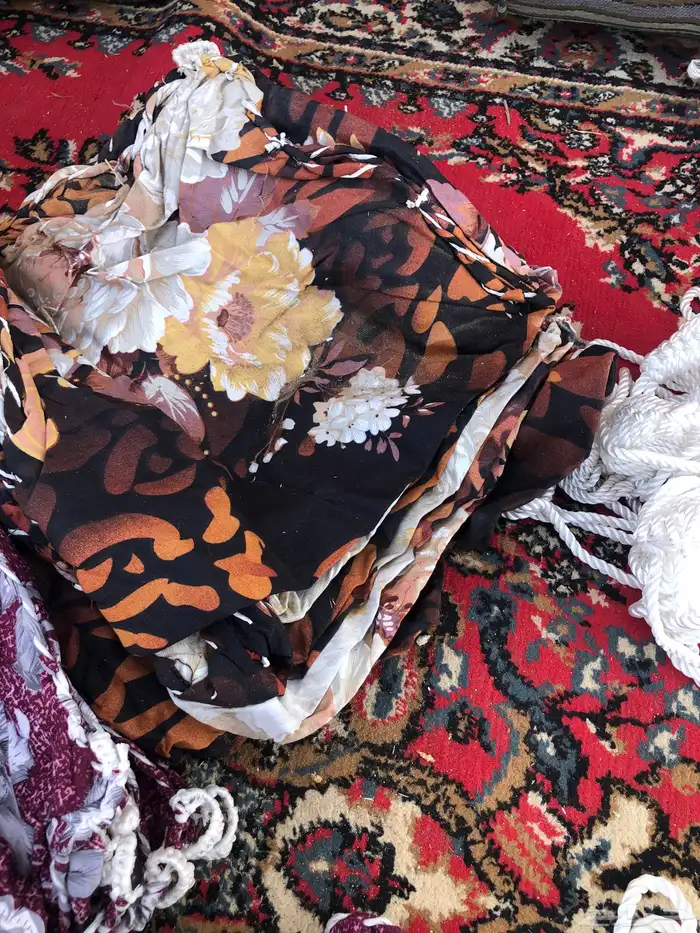 شمايل للابل النياق 0