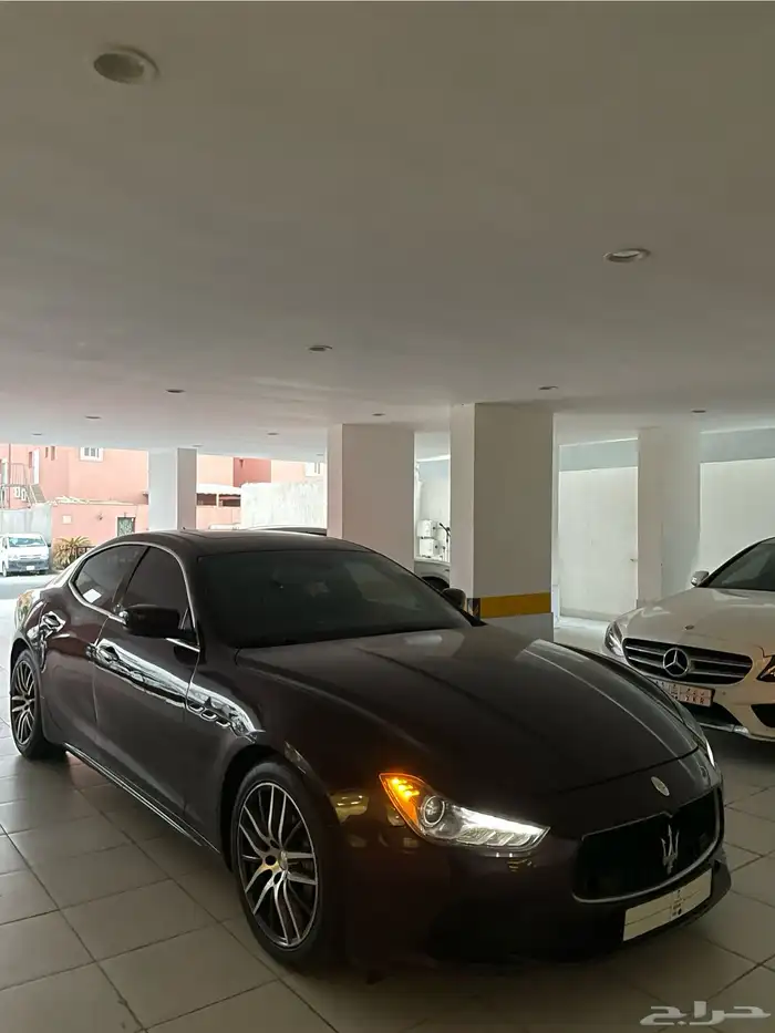 مزراتي قيبلي 2016 0