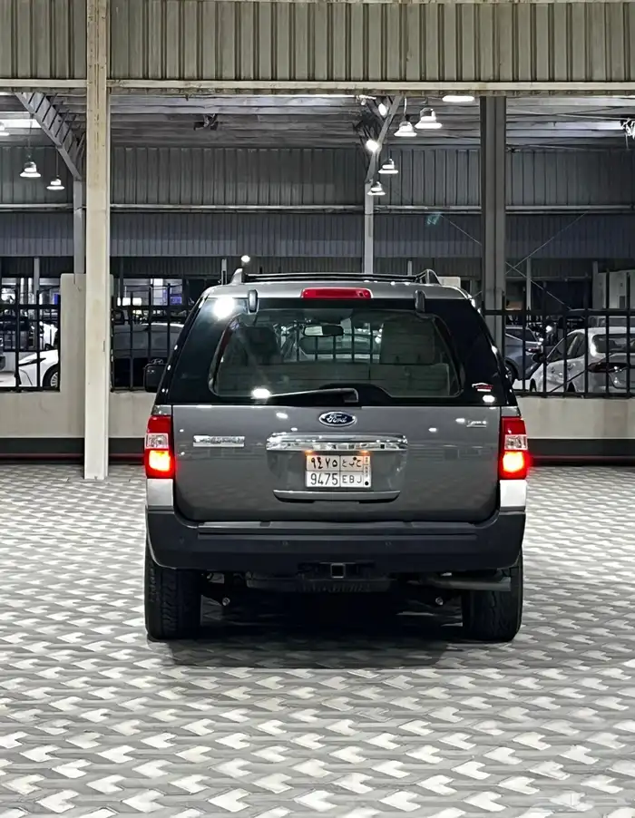 فورد اكسبيدشن - 2013 دبل 1