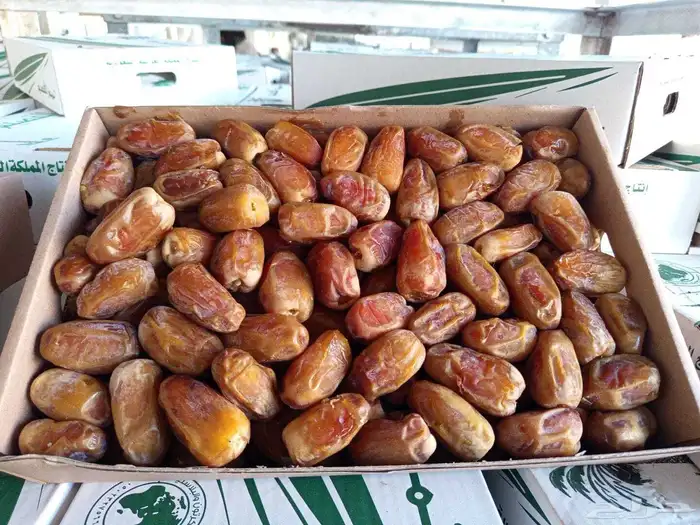 السلام عليكم ورحمه الله وبركاته صقعي. مجدول. عجوه. عنبره 0