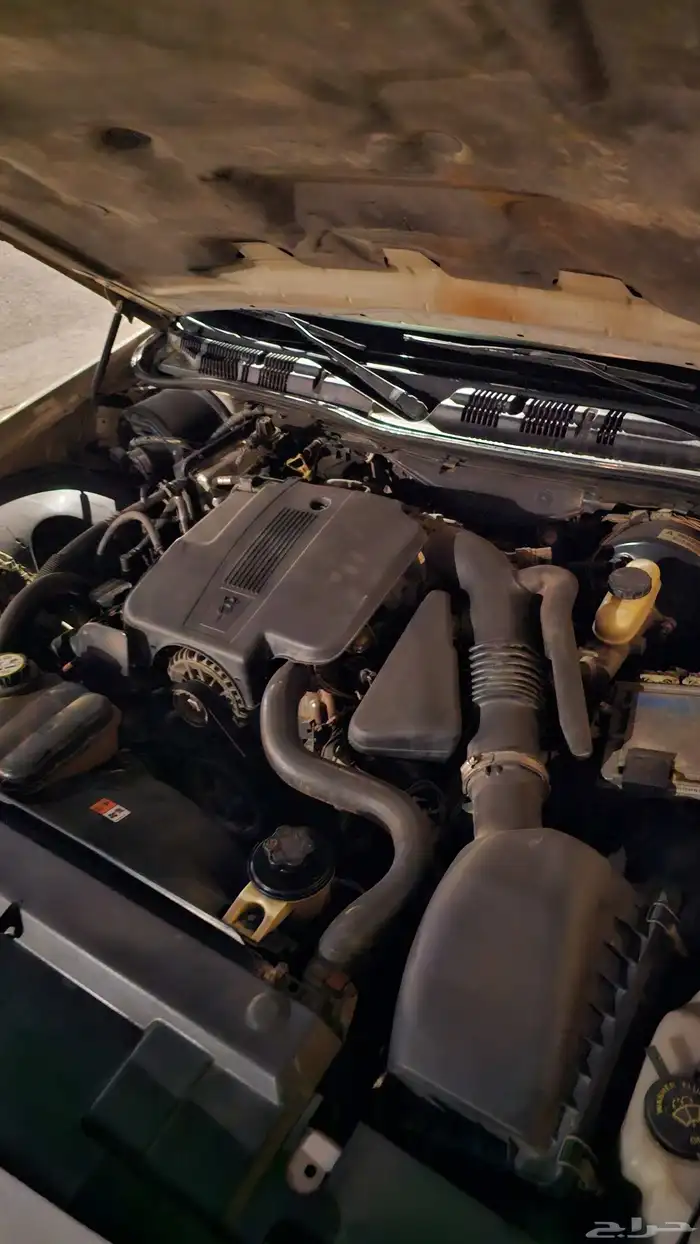 ماركيز 2008 LS 8