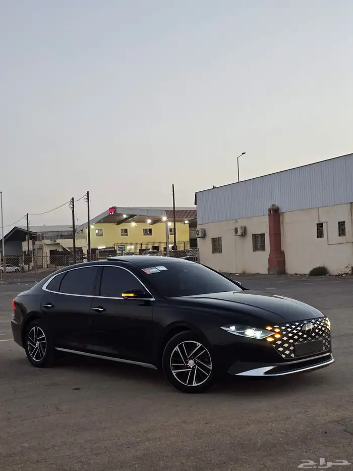 ازيرا2020بنوراما 18