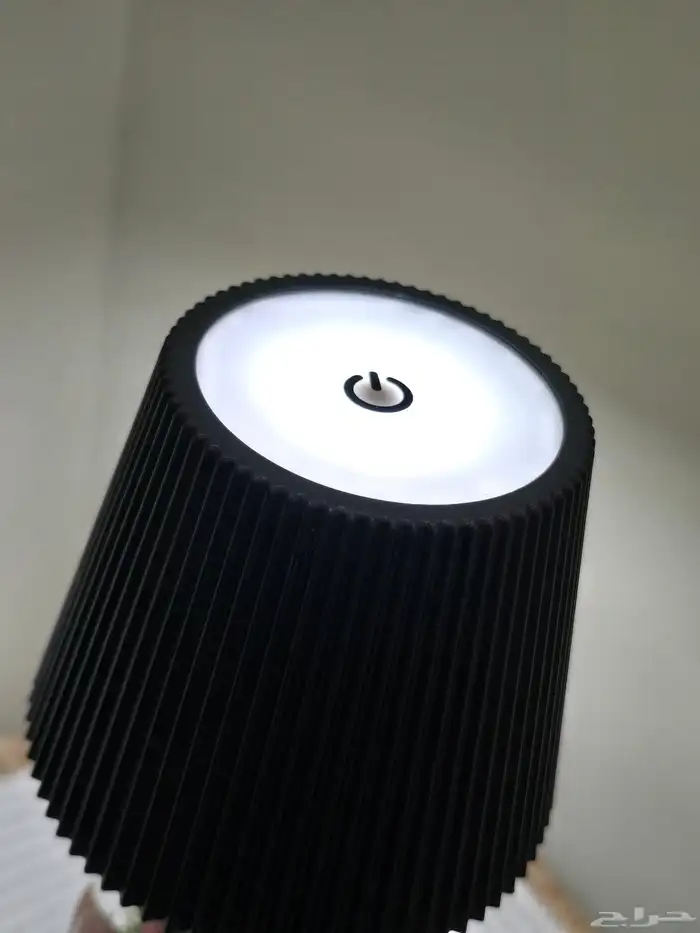 أبجورة تيراريوم نباتات طبيعية 4