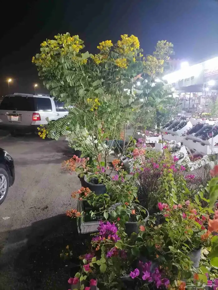 زراع طبيعي واحواض زراع طبيعي 0