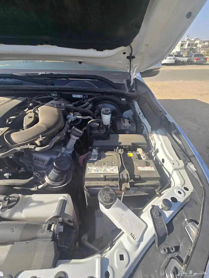 فورتشنر 2023 6 سرندل 11