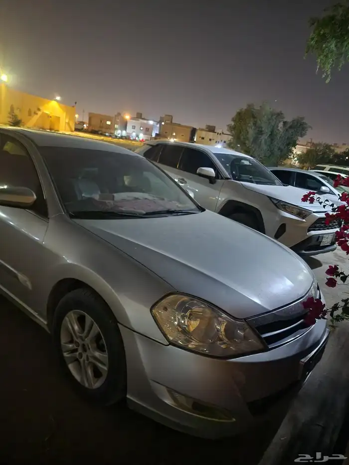 رينو سافران 2011 4