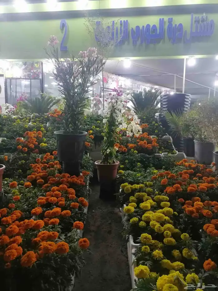 زراع طبيعي واحواض زراع طبيعي 1