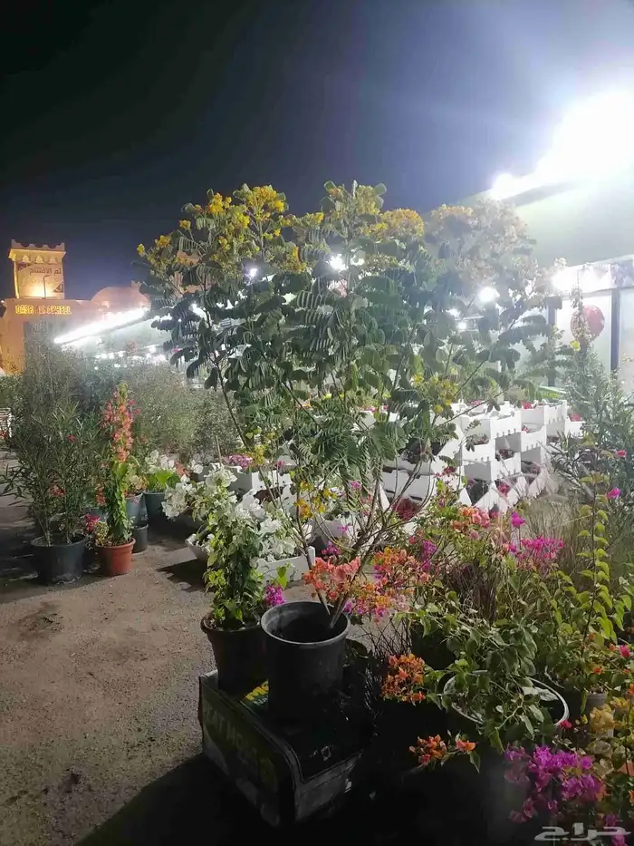 زراع طبيعي واحواض زراع طبيعي 6