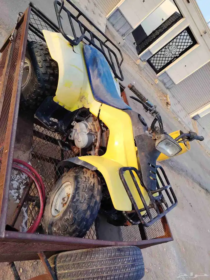 دباب للبيع 1