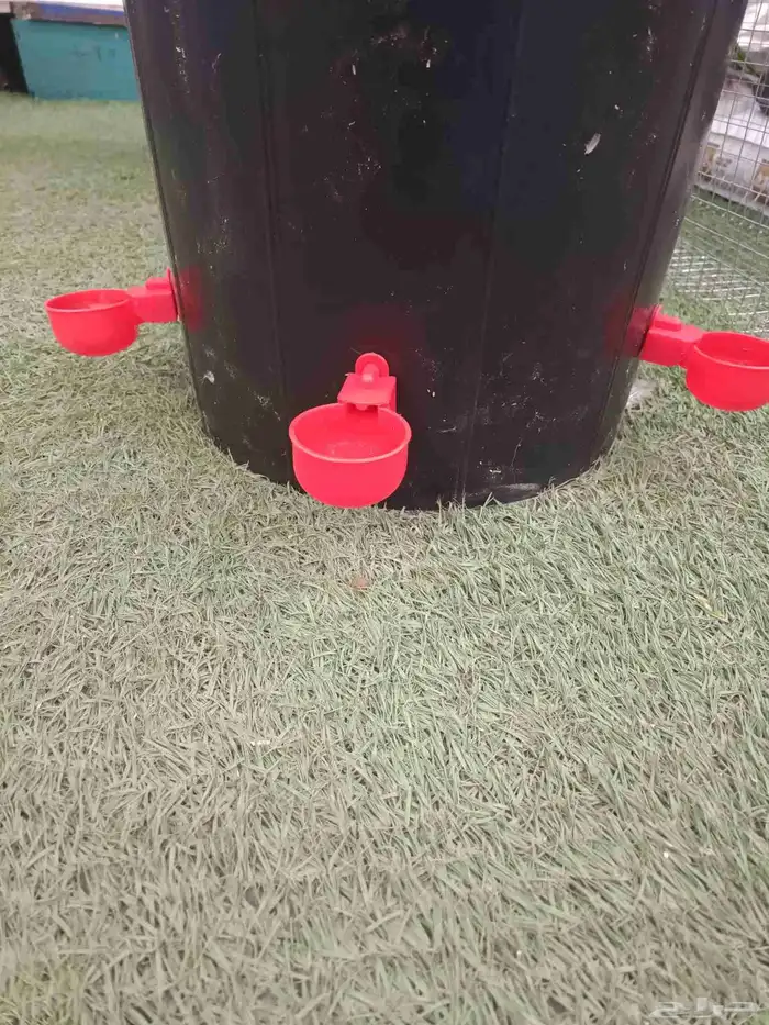 سقايات طيور اتوماتيك 1