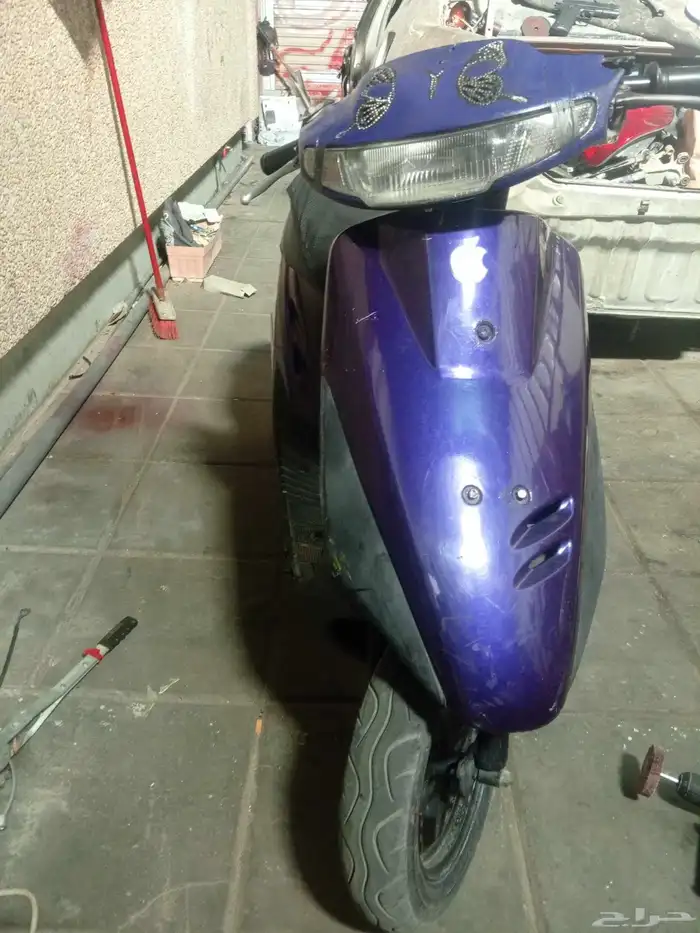 همبرته بطه لون بنفسجي نظيفه 1