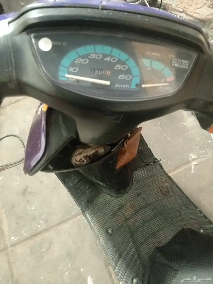 همبرته بطه لون بنفسجي نظيفه 2