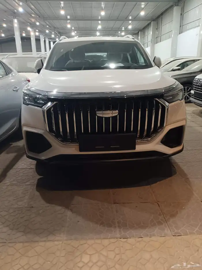 جيلي اوكافانجو 2025 6