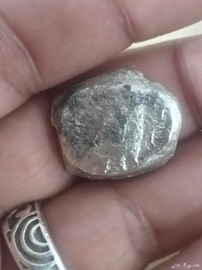 عملة البومة فضة من النوارد لمملكة كندا شبة الجزيرةالعربية 2