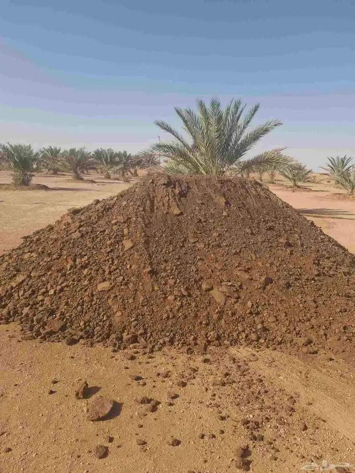 القصيم بريده المذنب ساجر شقراء المجمعة القصب الدوادمي الزلفي 3