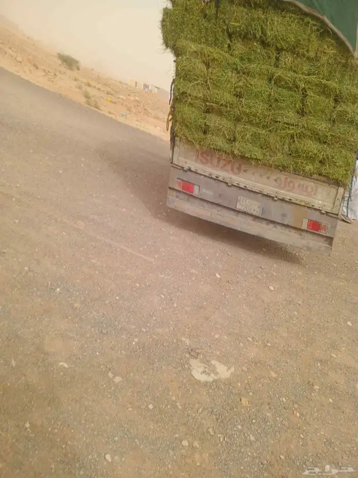 الرياض. برسيم. صافي. وناعم. وطيب. الشد. 80. العدد. 250. 0