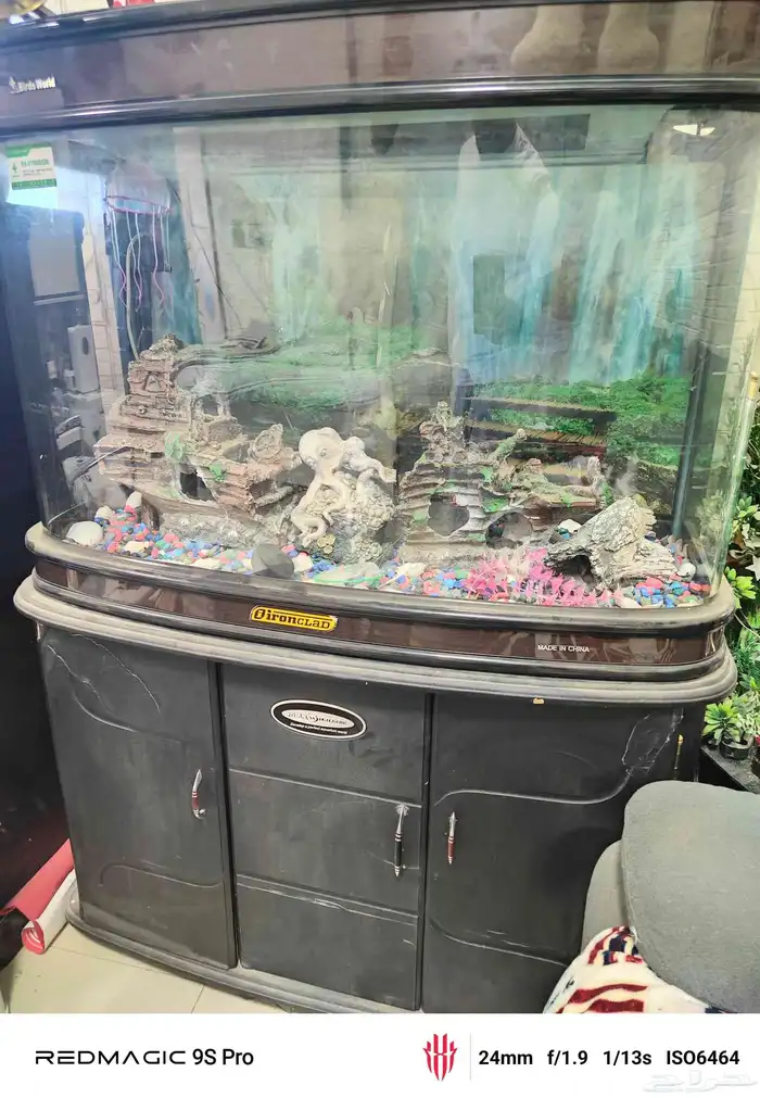 احواض سمك نضيفه واحجام كبيره حول متر وشوي مع الدواليب 2