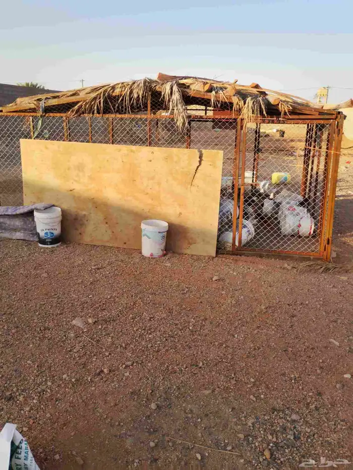 شبك غنم للبيع اربعه في اربعه الارتفاع اثنين 2