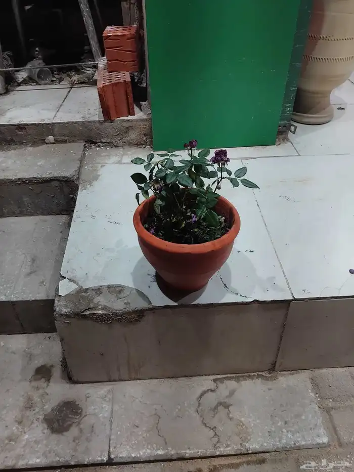 الفخار برامل مندي ومراكان زراعيه احوض زراع 7