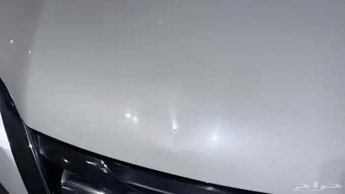 فورشنر 2020 10