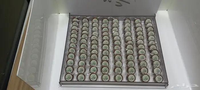 شوكولاته بلجيكي 3