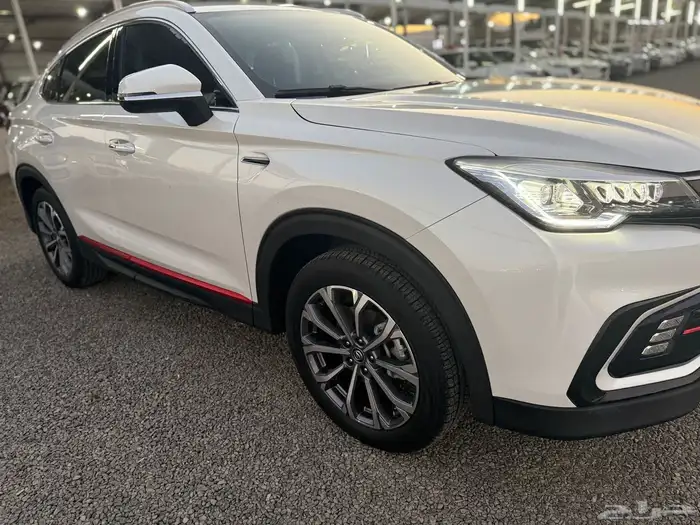 شانجان 2021 12