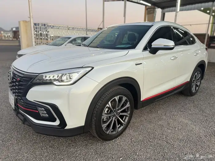 شانجان 2021 10