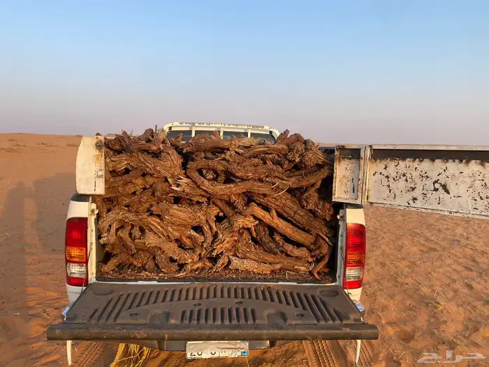 للبيع صندوق هايلكس يابس 0