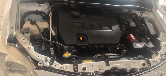 كورلا 2013 المجاردة 2