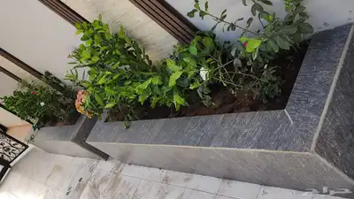 تصميم احواض زرع طببعي index