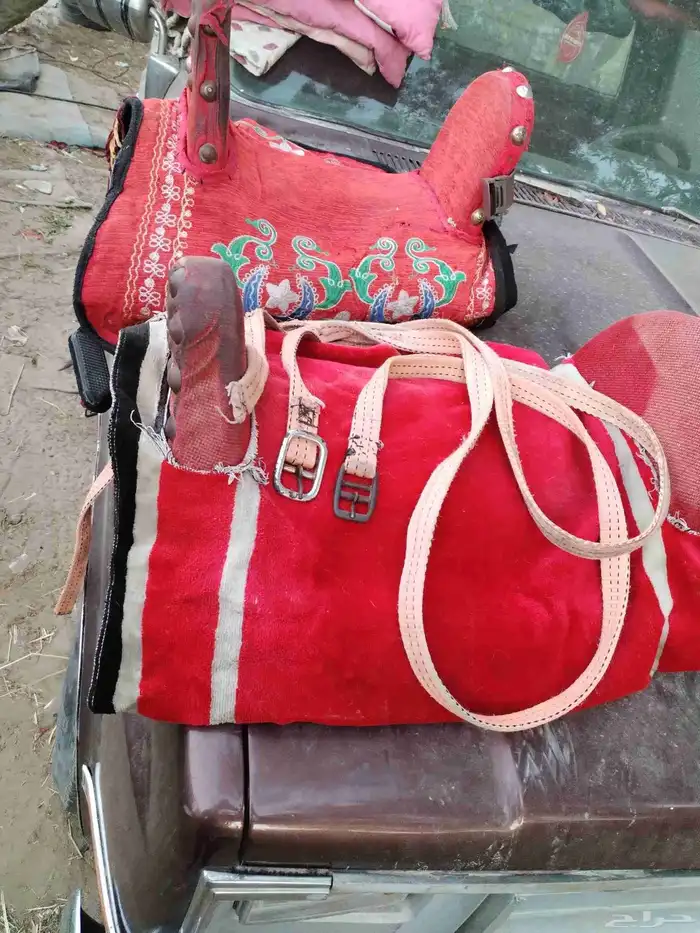 سروج حصان سيسي او بوني 3